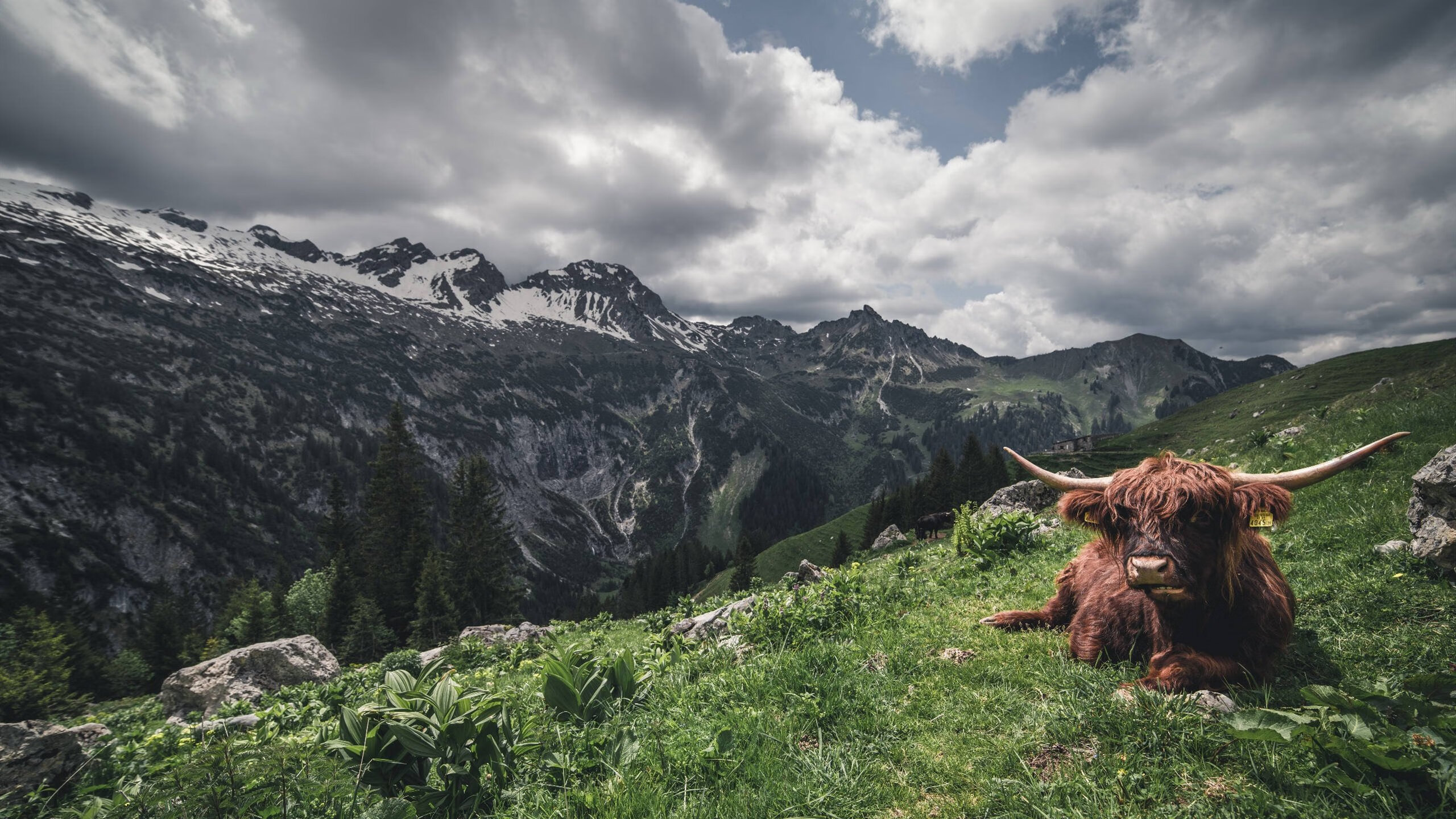 中国篮球青训教练员专业能力提升途径探讨，青少年篮球教练员的职业素养