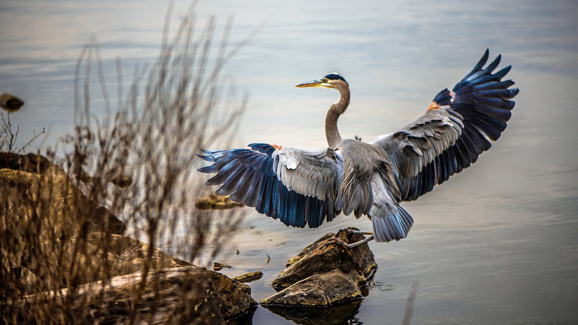NBA联盟裁判员执法公正性研究,nba最公正的裁判