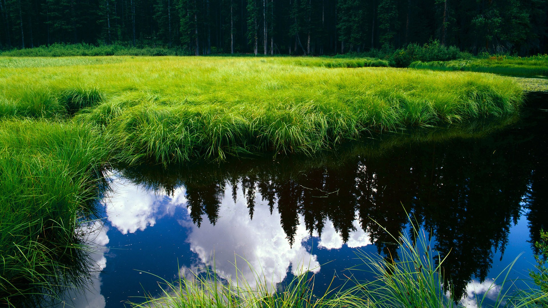 九游网-德甲“强强相遇”：拜仁慕尼黑对阵多特蒙德，冠军争夺一触即发