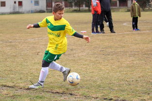 九游下载安装-中超冠军梦碎后，蓉城要在亚洲赛场重塑信心，中甲成都蓉城今天比赛结果