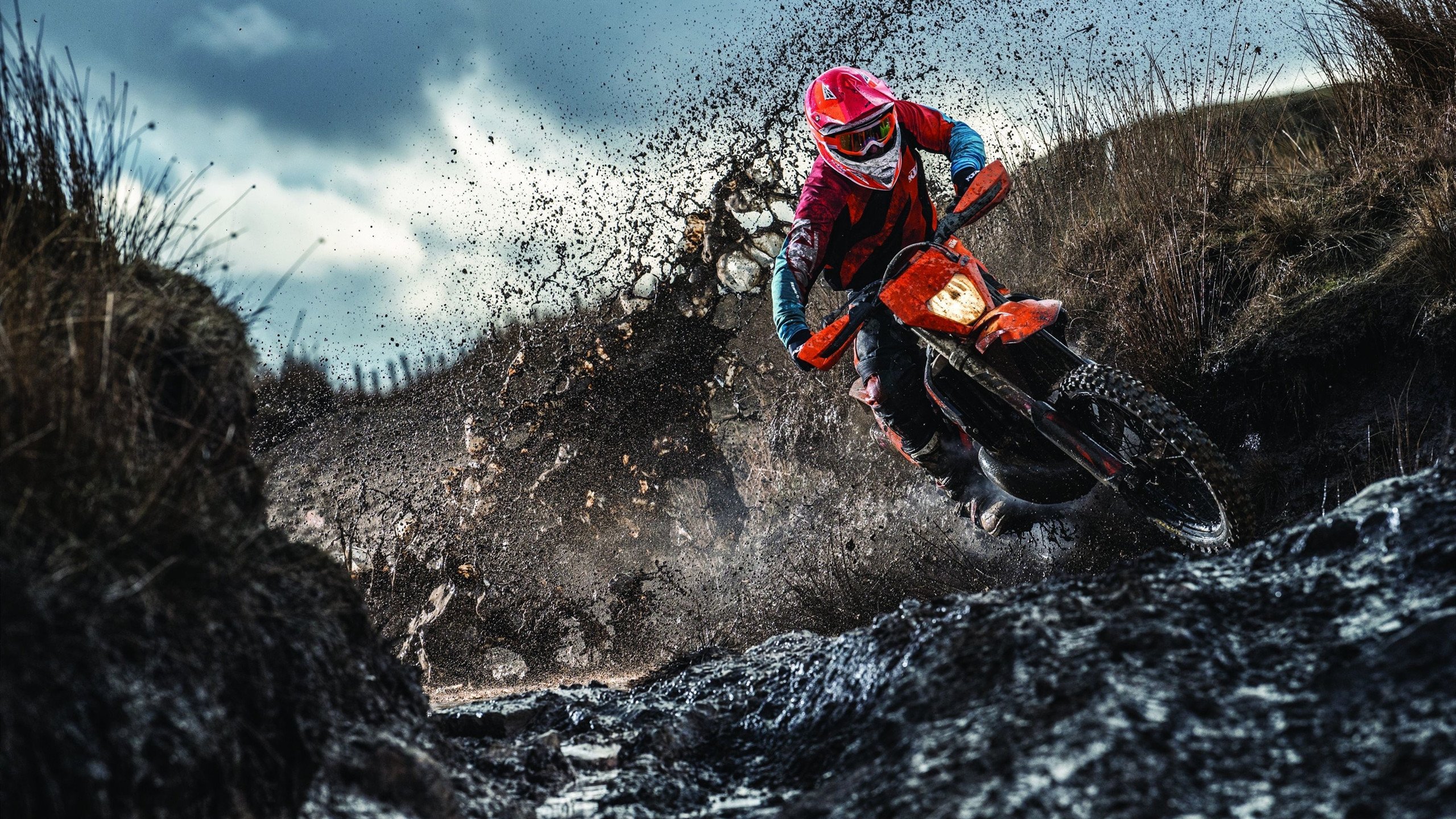 九游游戏中心-八村＆拉拉维亚，两位全勤“铁湖人”是西部第二的幕后功臣